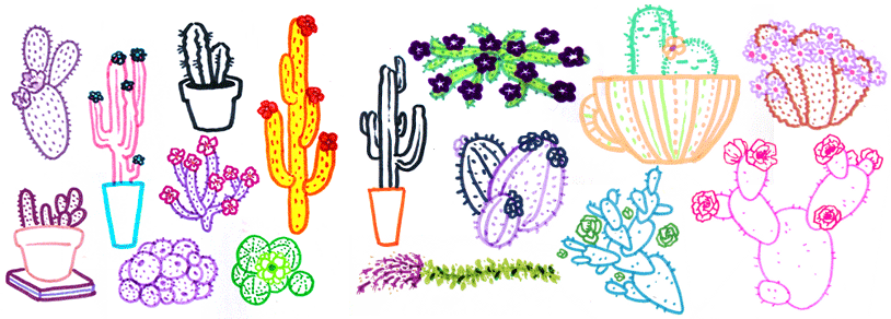 Elis-Minborg-Succulents